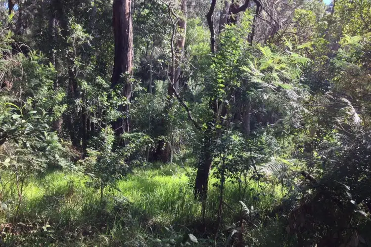 Second view of Homely land listing, 4 Wallaroy Drive, Burrill Lake NSW 2539
