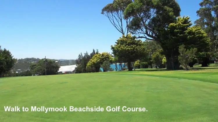 Seventh view of Homely house listing, 66 Seaview Street, Mollymook NSW 2539