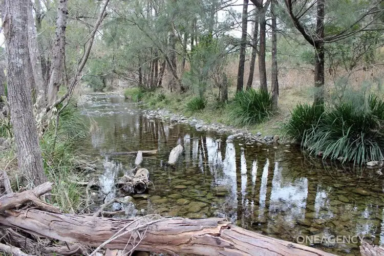 Sixth view of Homely rural property listing, Lot 4 Carrai Road, Willi Willi NSW 2440