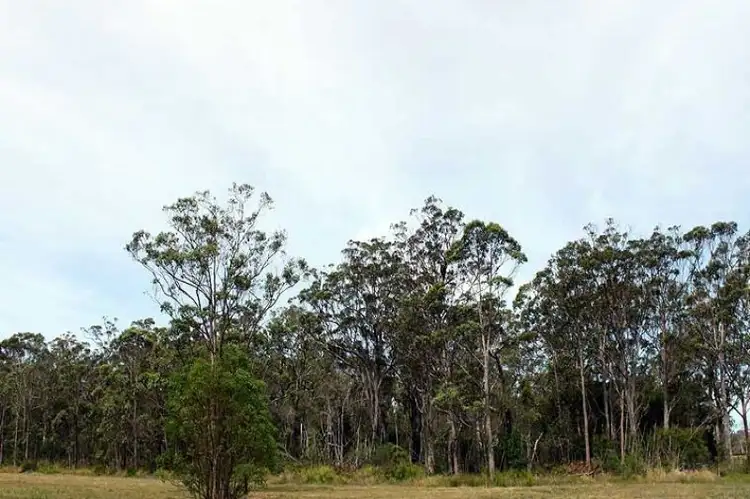 Fifth view of Homely rural property listing, Lot 6 Maria River Road, Crescent Head NSW 2440