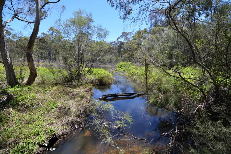 Sixth view of Homely house listing, 30 Bamberry Road, Cannon Creek QLD 4380