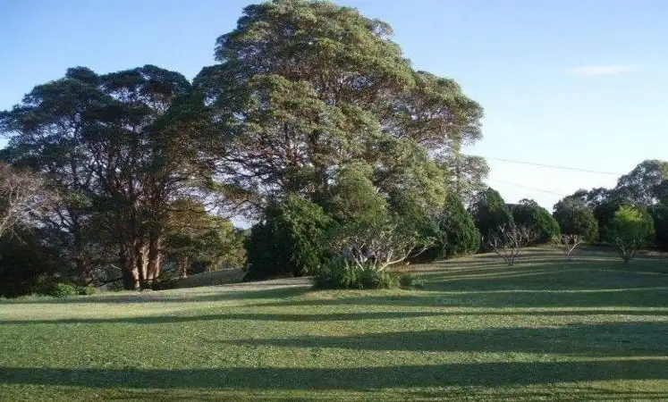 Fourth view of Homely house listing, 242-254 Kureelpa Falls Road, Kureelpa QLD 4560