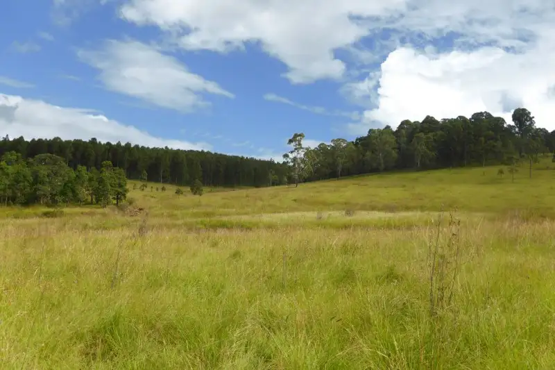 Main view of Homely rural property listing, 2 Old Lawrence Road, Mallanganee NSW 2469