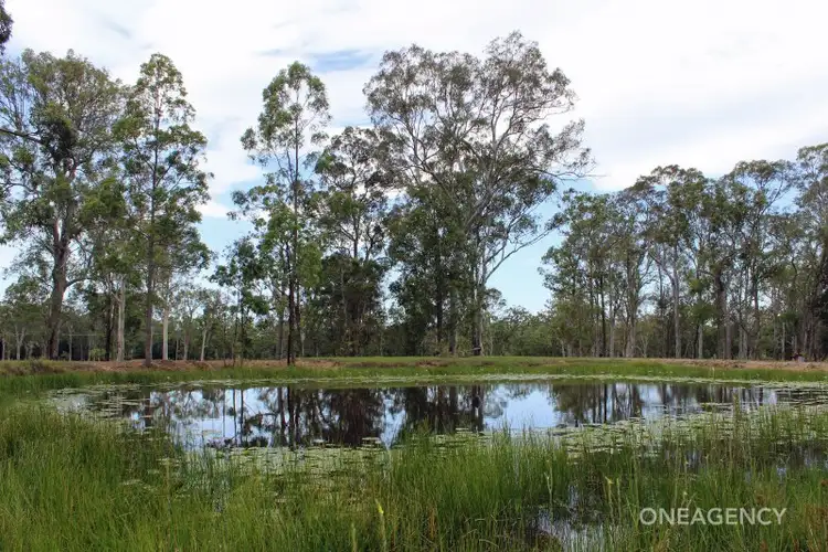 Seventh view of Homely rural property listing, 2 Silverwood Avenue, Temagog NSW 2440