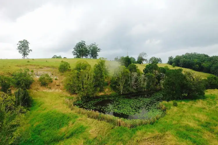 Fourth view of Homely rural property listing, 29 Blade Road, Nimbin NSW 2480