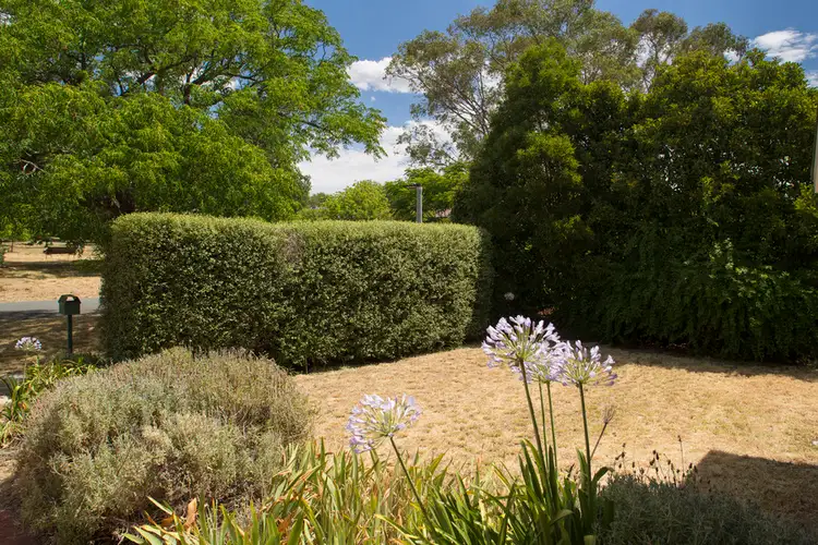 Second view of Homely semi-detached listing, 3a Babbage Crescent, Griffith ACT 2603