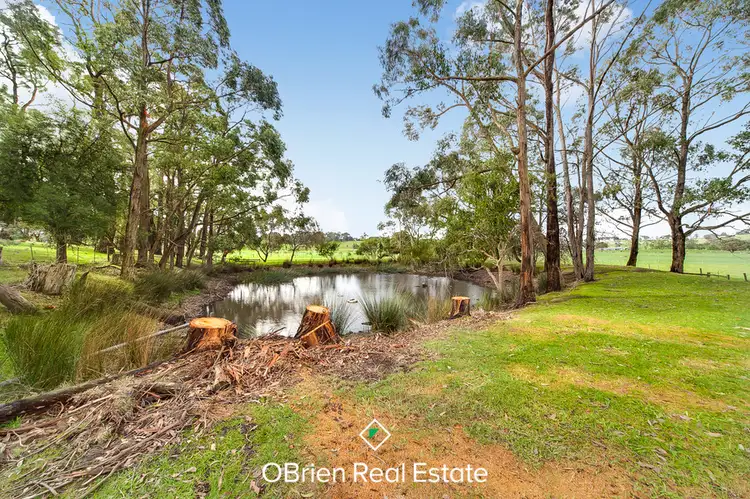 Sixth view of Homely rural property listing, 37 Simper Court, Drouin VIC 3818