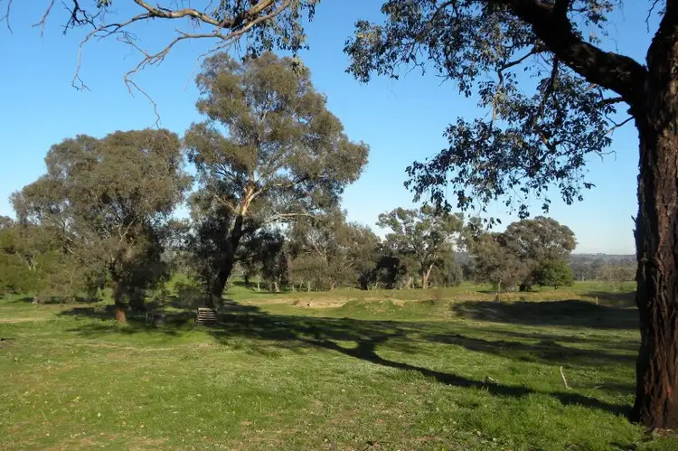 976 Forbes Lane, Young NSW 2594