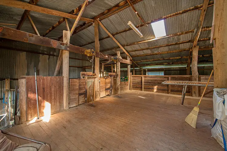 Fourth view of Homely rural property listing, 954 Pyramul Road, Mudgee NSW 2850