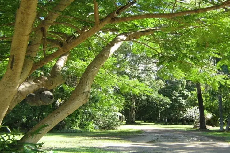 Sixth view of Homely house listing, 801 Eumundi Road, Doonan QLD 4562