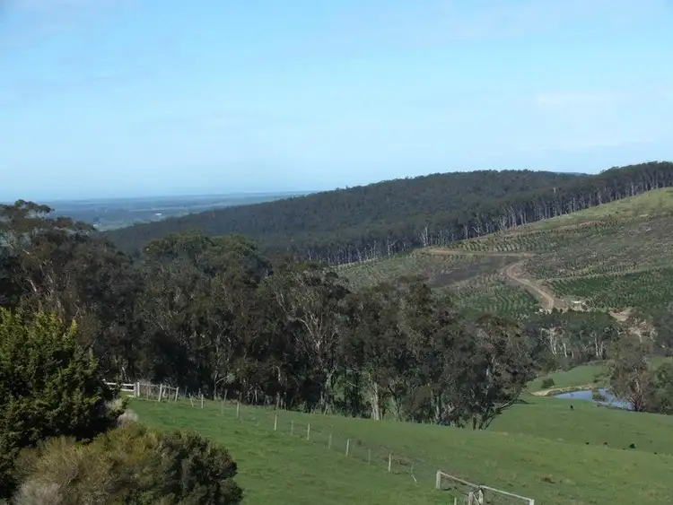 Seventh view of Homely rural property listing, 777 Bolgers Road, Devon North VIC 3971