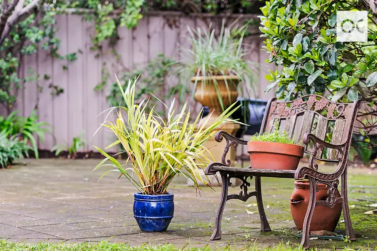 Fifth view of Homely house listing, 6 St Georges Way, Magill SA 5072
