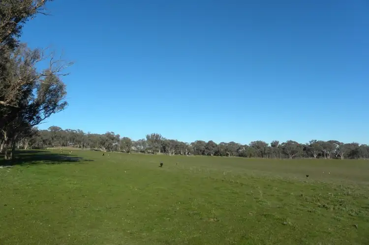 Fourth view of Homely land listing, 1058 Kingsvale Road, Young NSW 2594