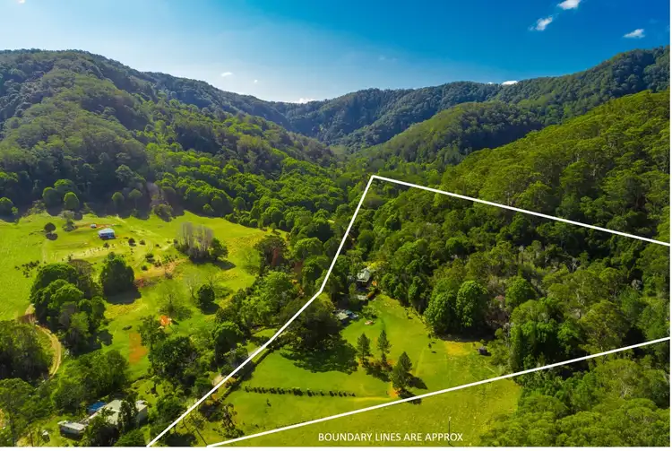 Second view of Homely house listing, 162 Blindmouth Road, Main Arm NSW 2482
