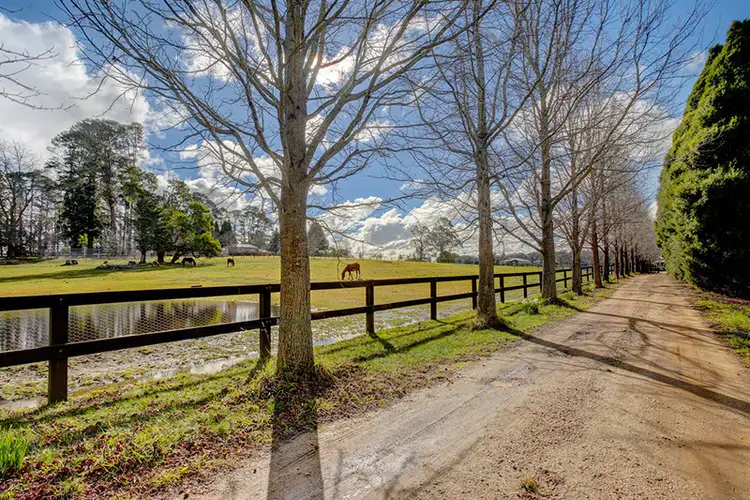 Main view of Homely rural property listing, 247 Nowra Road, Moss Vale NSW 2577
