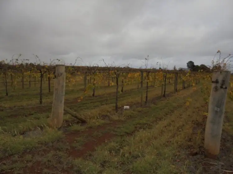 Third view of Homely rural property listing, 7E Satelberg Road, Robinvale VIC 3549
