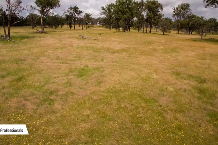 Seventh view of Homely rural property listing, 489 Top Congi Road, Tamworth NSW 2340