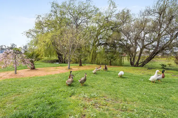 Third view of Homely house listing, 261 Mersey Main Road, Spreyton TAS 7310