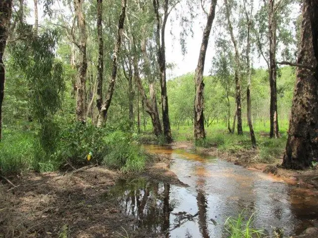 Sixth view of Homely rural property listing, Lot 5213 Dorat Road, Robin Falls NT 822