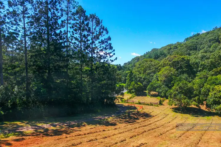 Sixth view of Homely rural property listing, 1091 Kyogle Road, Dum Dum NSW 2484