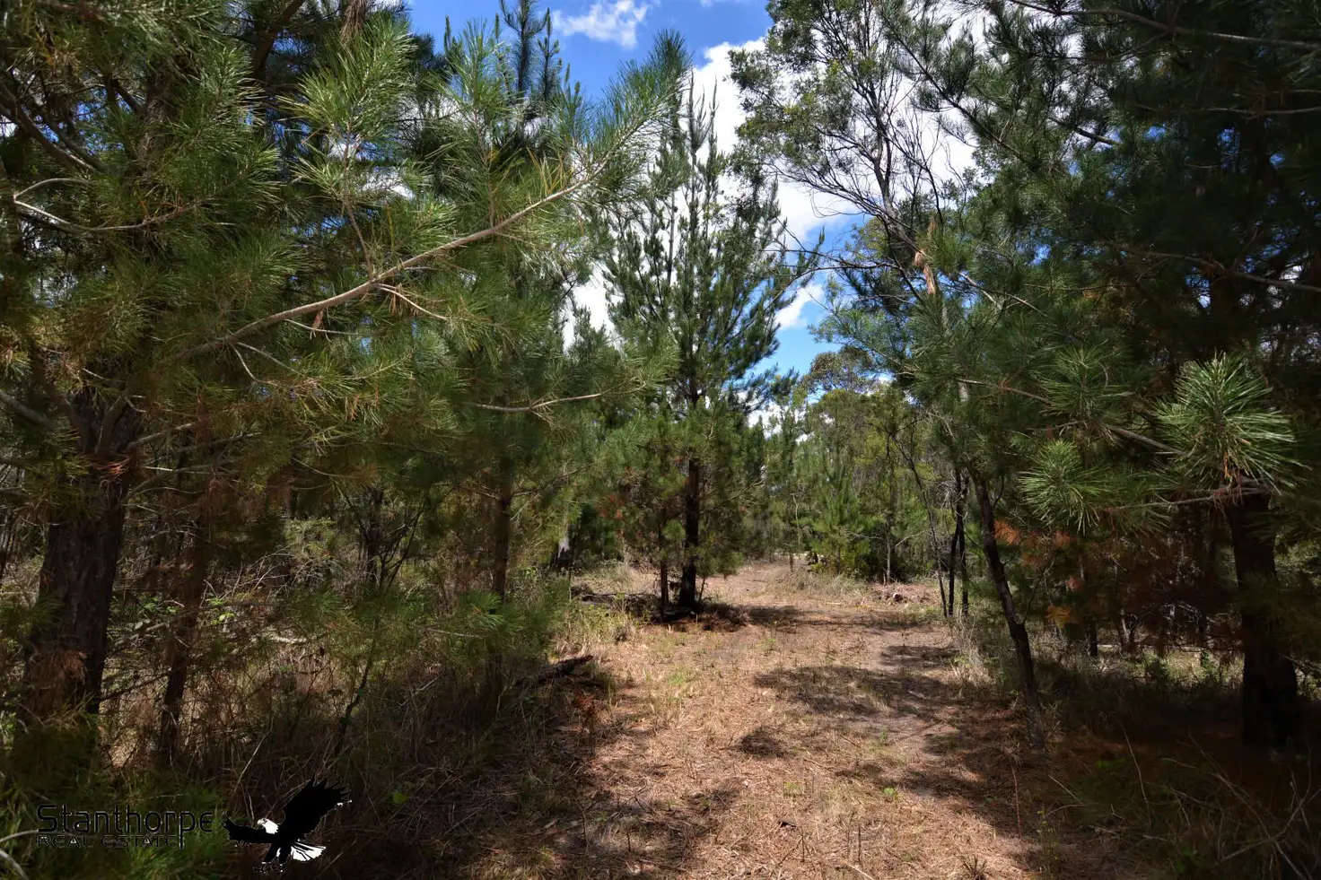 Main view of Homely rural property listing, LOT 207 Ironbark Road, Sugarloaf QLD 4380