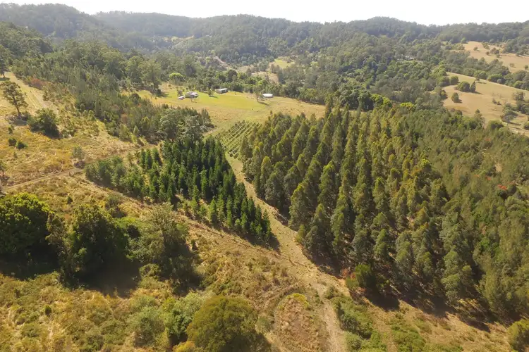 Second view of Homely rural property listing, 109 Davis Road, Jiggi NSW 2480