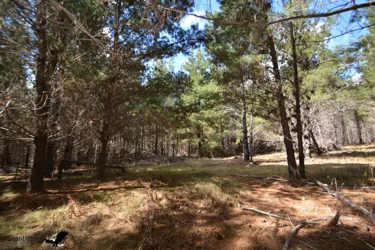 Third view of Homely rural property listing, LOT 258 Panoramic Drive, Sugarloaf QLD 4380