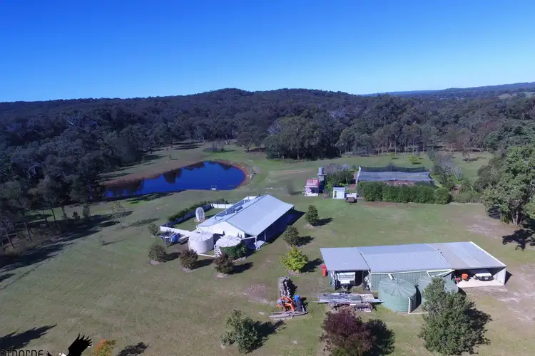 276 Mckechnie Road, Ruby Creek Via, Liston NSW 2372