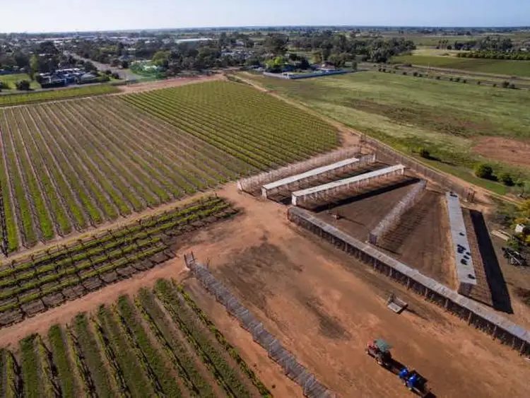 Sixth view of Homely rural property listing, 67 Quandong Avenue, Merbein VIC 3505