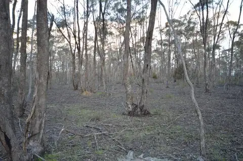 Fifth view of Homely land listing, Lot 2 Willy Milly Road, Castlemaine VIC 3450