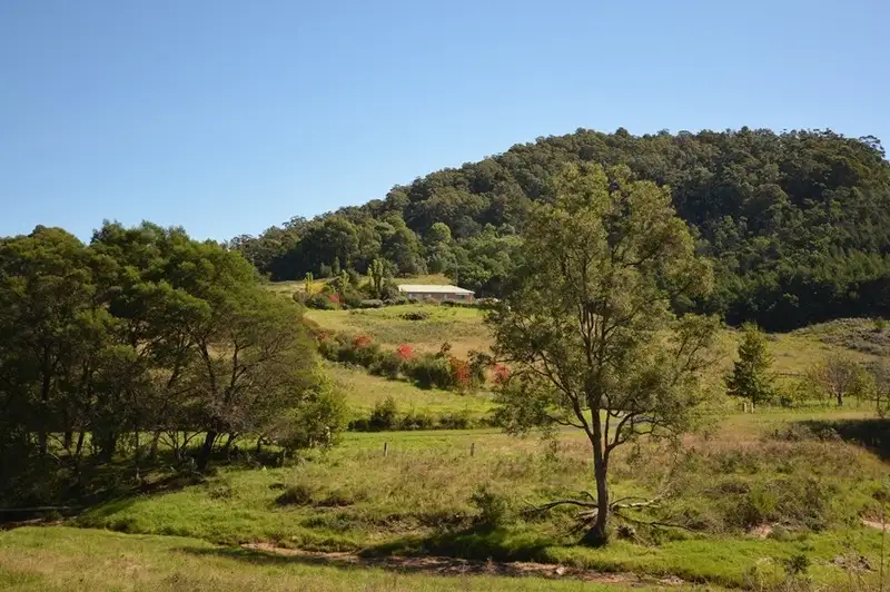 Main view of Homely rural property listing, 184 Barrabaroo Road, Cobargo NSW 2550