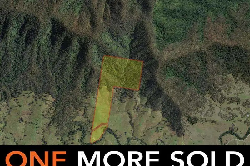 Main view of Homely rural property listing, Lot 24 Carrai Road, Willi Willi NSW 2440
