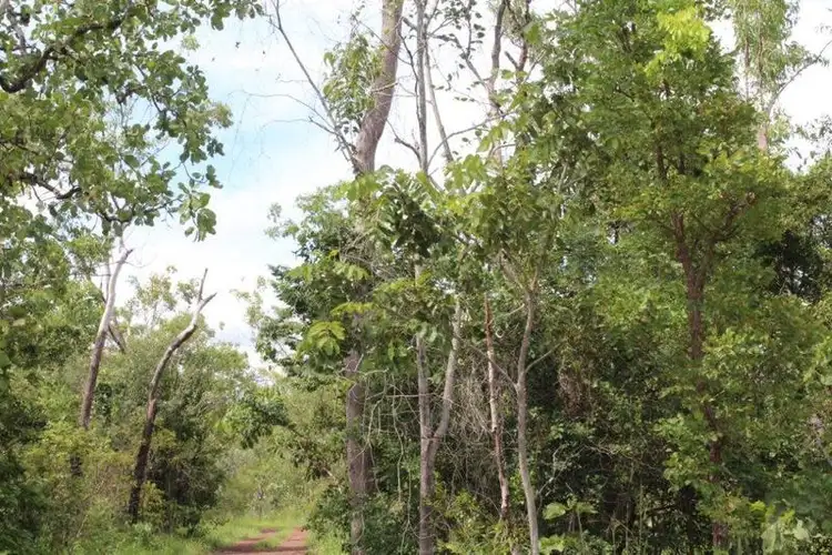 Sixth view of Homely house listing, 1050 Leonino Road, Darwin River NT 841