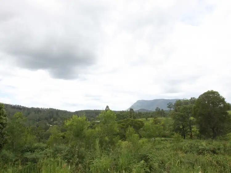 Main view of Homely rural property listing, 909 Stony Chute Road, Stony Chute NSW 2480