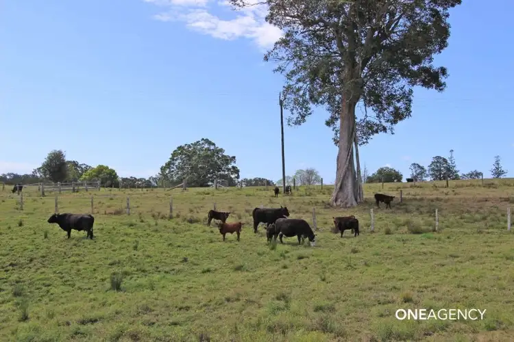 Second view of Homely rural property listing, 73 Oakland Road, Dondingalong NSW 2440