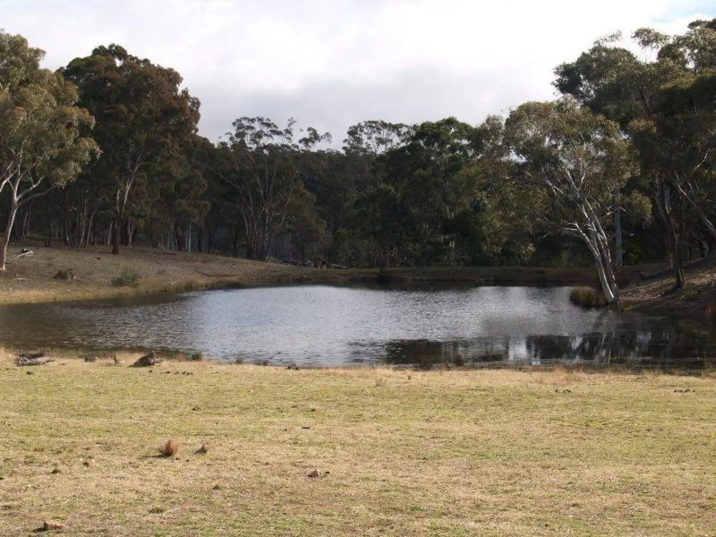 Main view of Homely land listing, 1411 Lumley Road, Bungonia NSW 2580