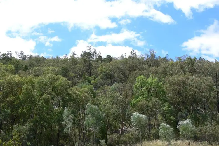 Seventh view of Homely house listing, 64 Rees Road, Ballandean QLD 4382