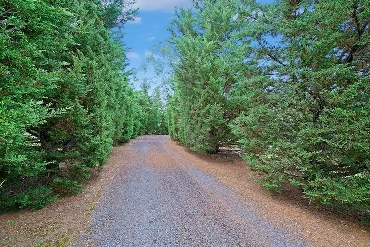 Seventh view of Homely house listing, 295 Silverdale Road, Orangeville NSW 2570