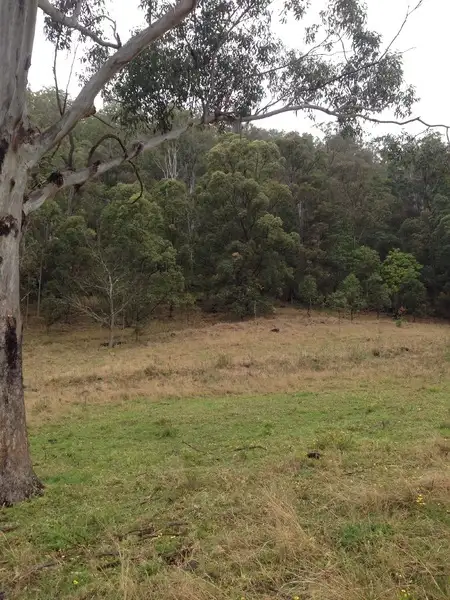 Third view of Homely rural property listing, 181 Lindsay Road, Larnook NSW 2480