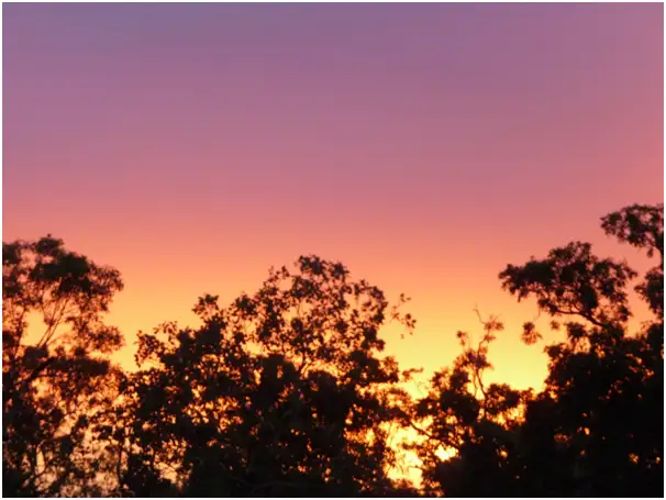 Seventh view of Homely rural property listing, 340 Darwin River Road, Darwin River NT 841