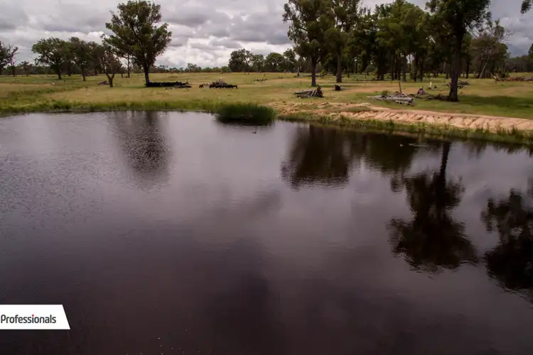 Fifth view of Homely rural property listing, 489 Top Congi Road, Tamworth NSW 2340