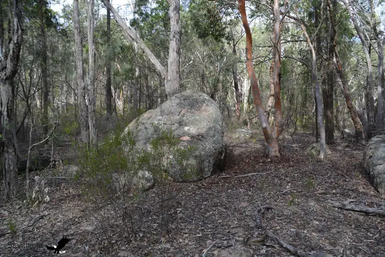 Seventh view of Homely land listing, LOT 16, 97 Browns Lane, Greenlands QLD 4380