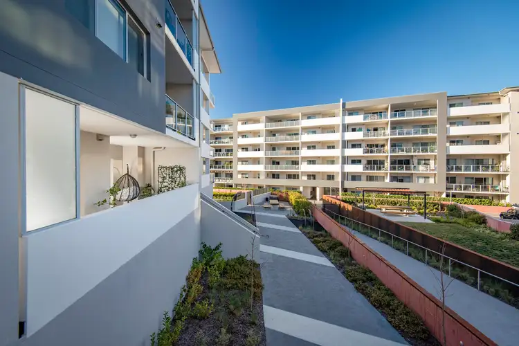 Third view of Homely apartment listing, 240/36 Philip Hodgins Street, Wright ACT 2611