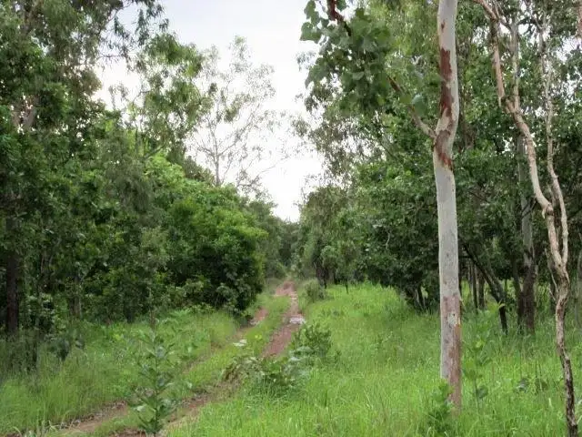 Fifth view of Homely land listing, 547 Parkin Road, Fly Creek NT 822