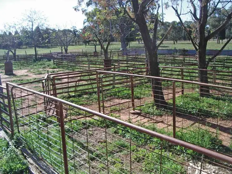 Seventh view of Homely rural property listing, Address available on request