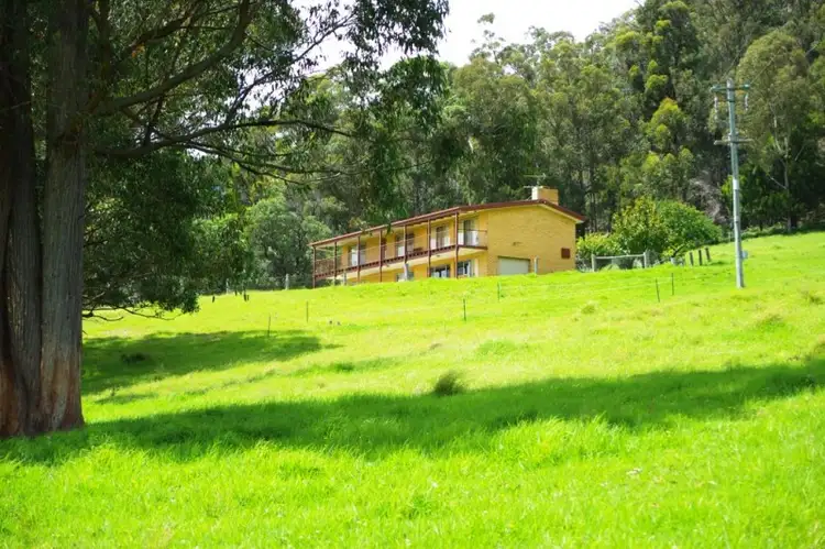 339 Coolagolite Road, Bermagui NSW 2546