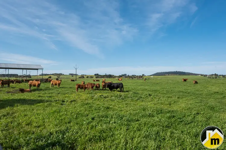 Third view of Homely rural property listing, 15 Talbot Road, Moorak SA 5291