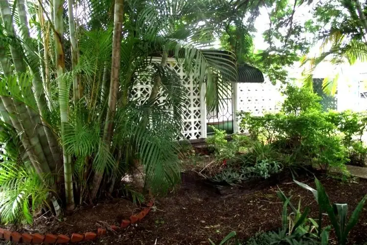 12 Verdoni Street, Bellara QLD 4507