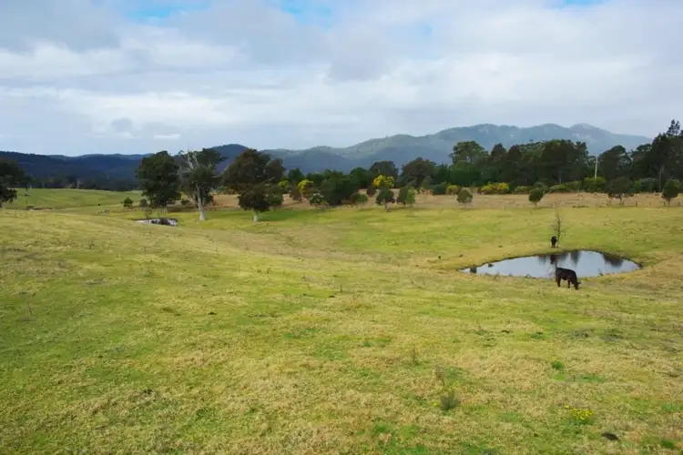 Third view of Homely rural property listing, LOT 3 Field Buckets Road, Quaama NSW 2550
