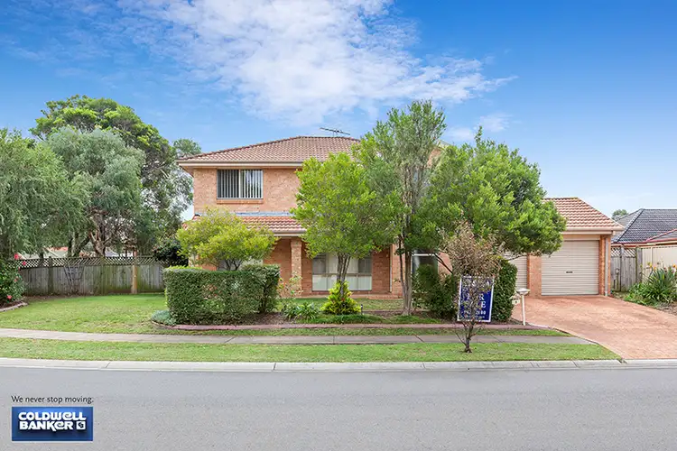 3 Todd Court, Wattle Grove NSW 2173